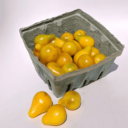 Yellow Pear Cherry Tomato