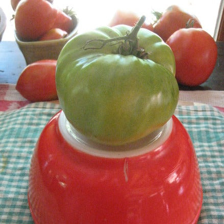 Aunt Ruby's German Green Tomato Seedlings
