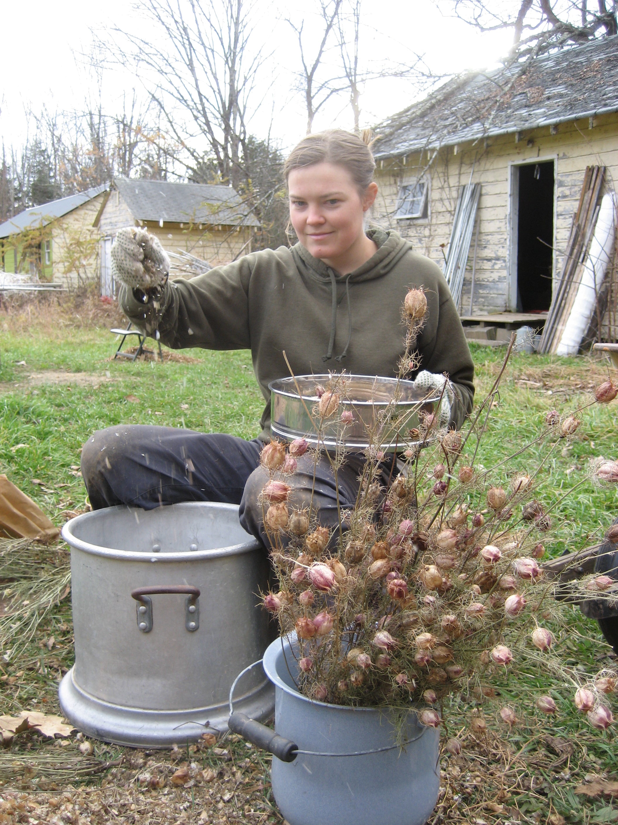 Awesome intern Emily processing seeds.