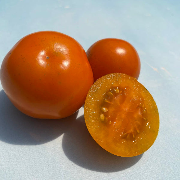 Mikado Tomato Organic Seeds – Hudson Valley Seed Company