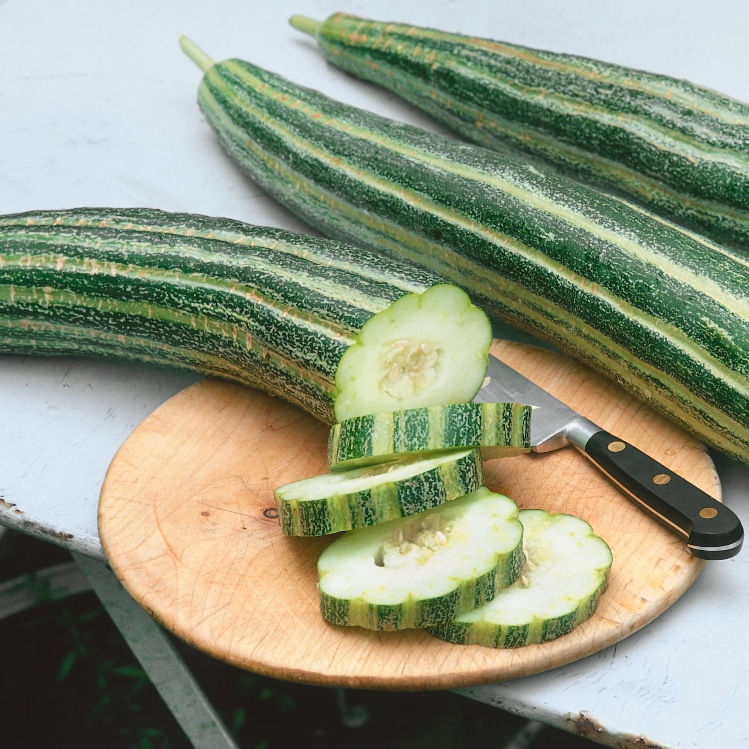 Painted Serpent Cucumber