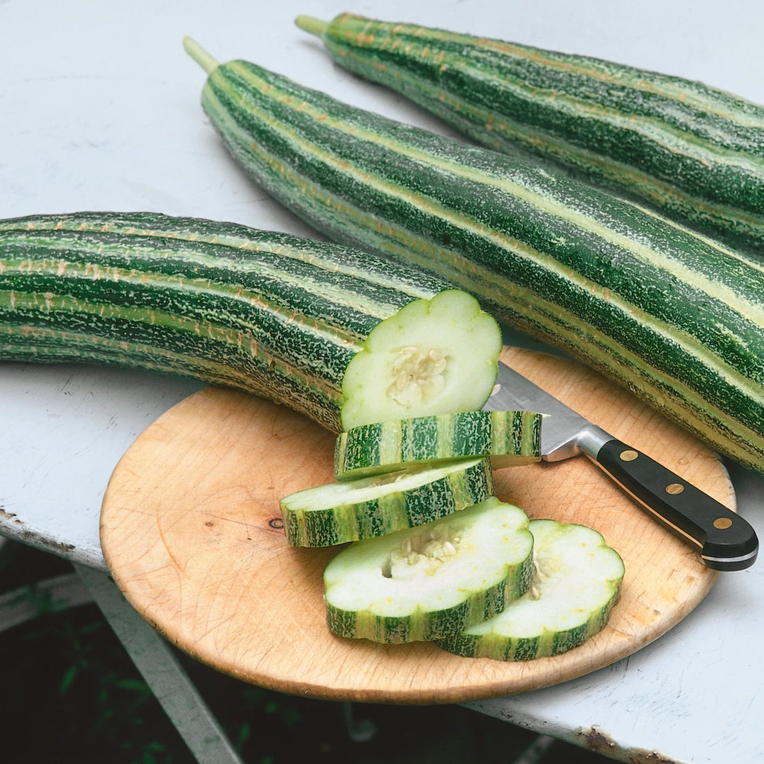 Painted Serpent Cucumber