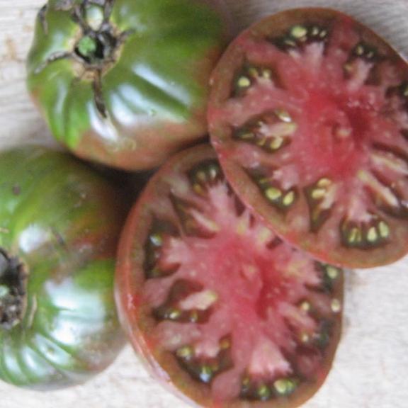 Black Krim Tomato Seedlings