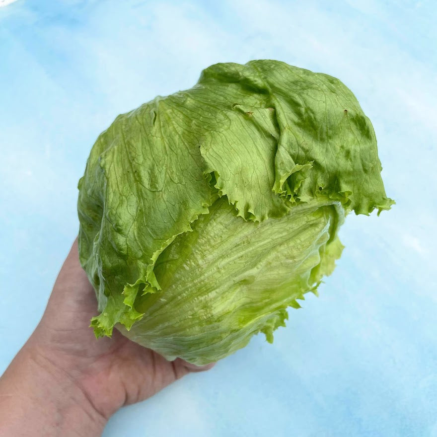 Crispino Lettuce