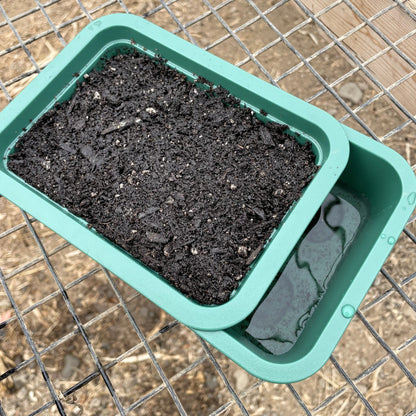 Windowsill Self-Watering Microgreens Tray