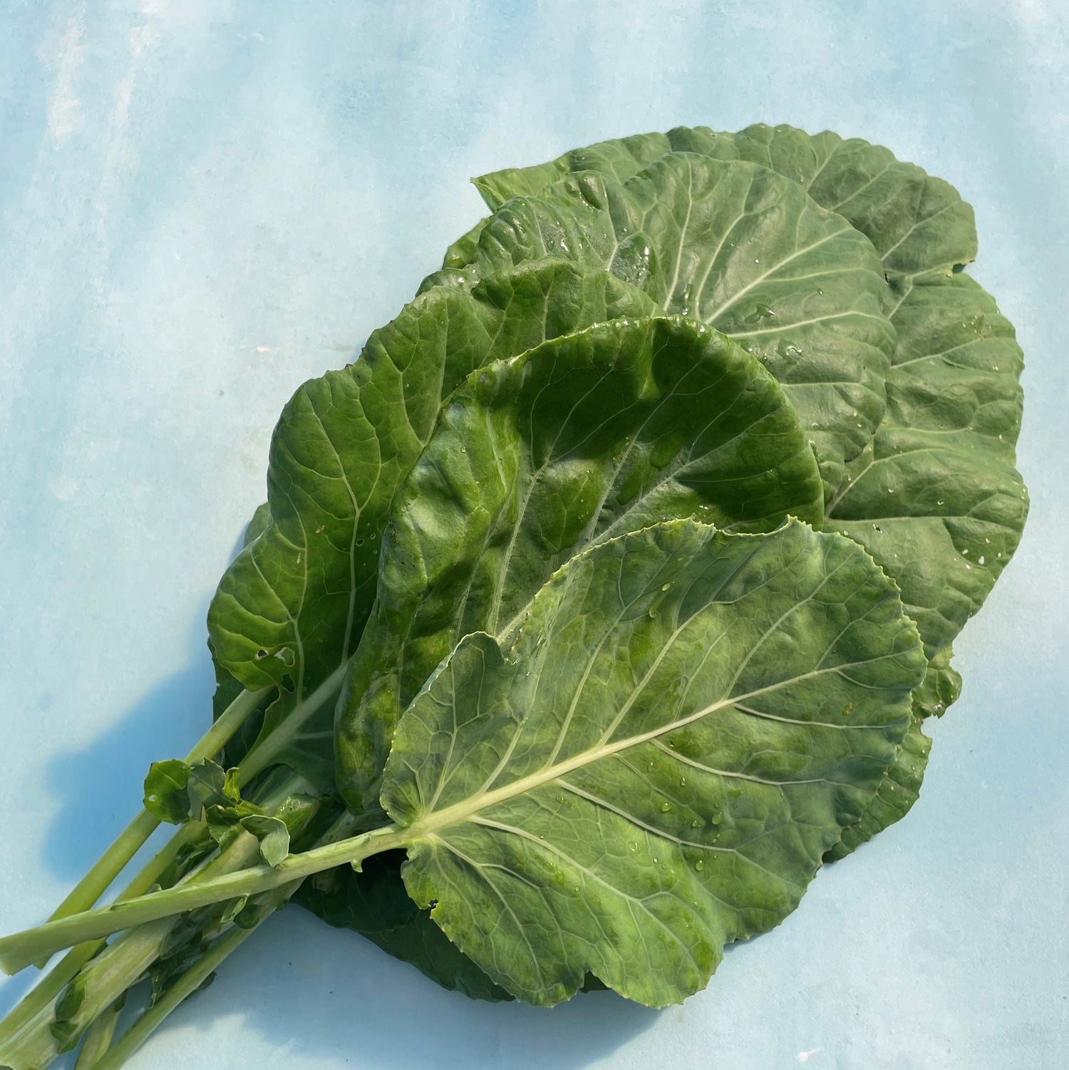 Georgia Southern Collards