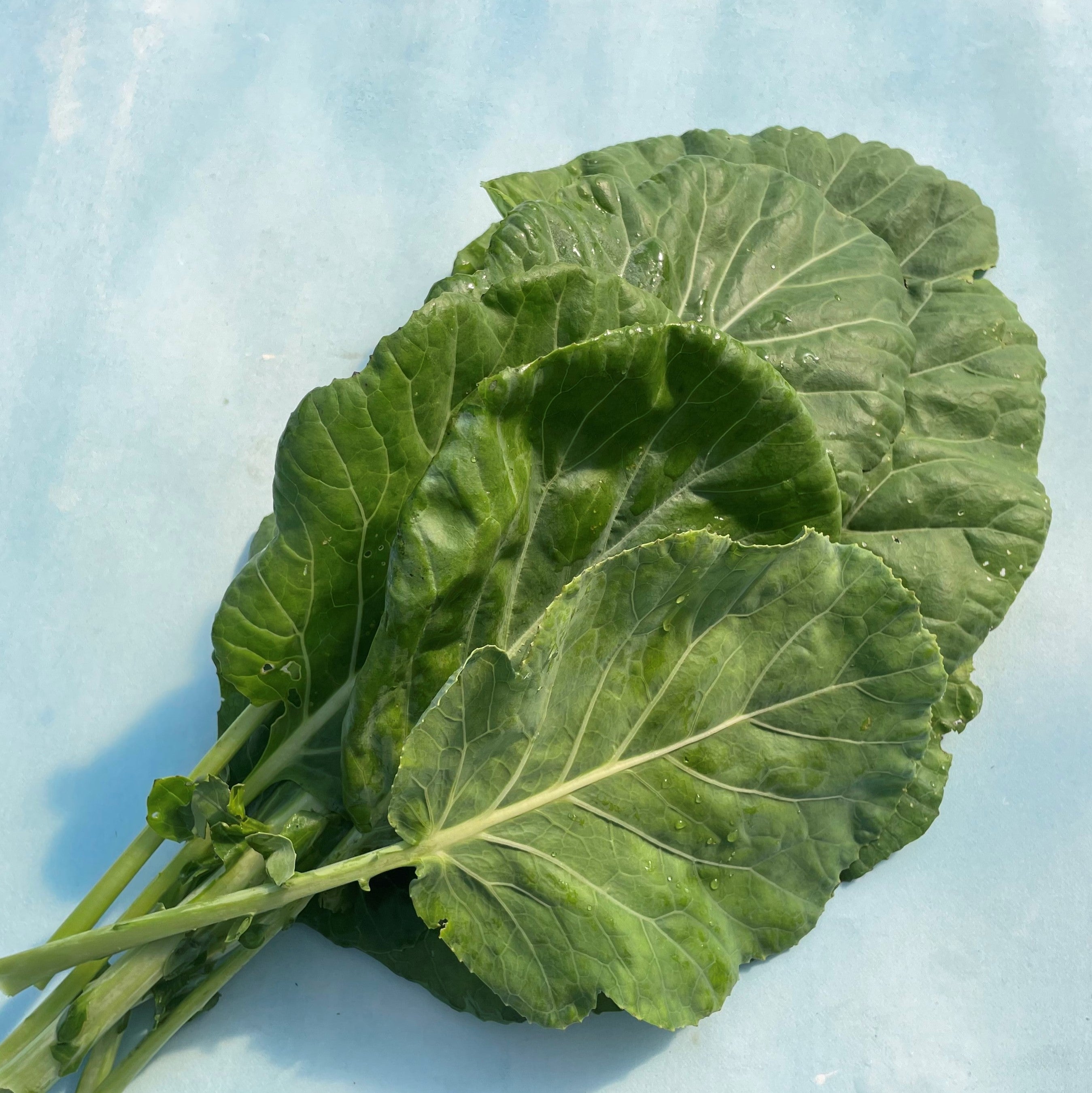 Georgia Southern Collards