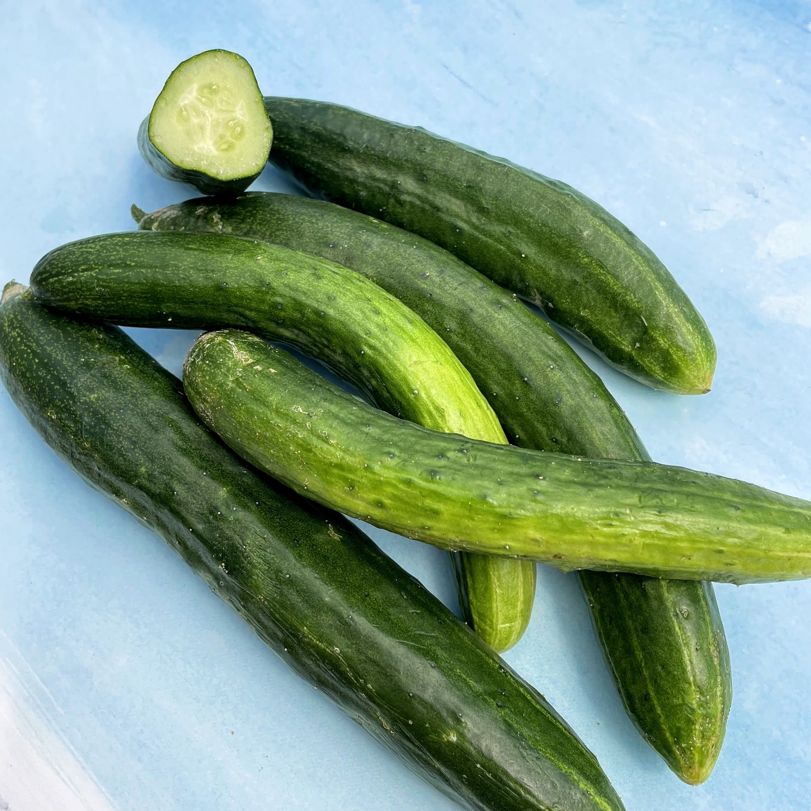 Tokiwa Cucumber Organic Seeds - 0.5 oz
