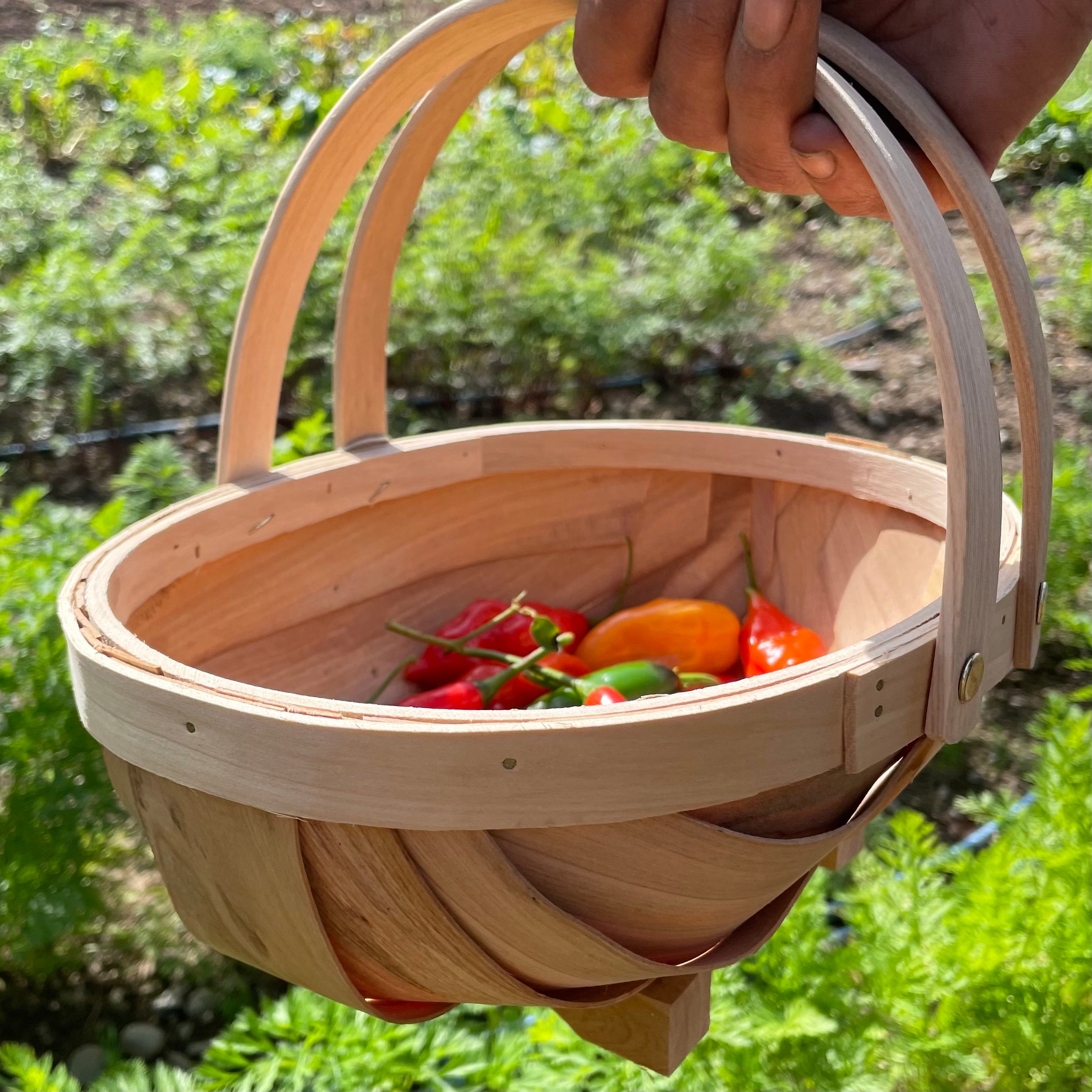 Small Wooden Harvest Trug