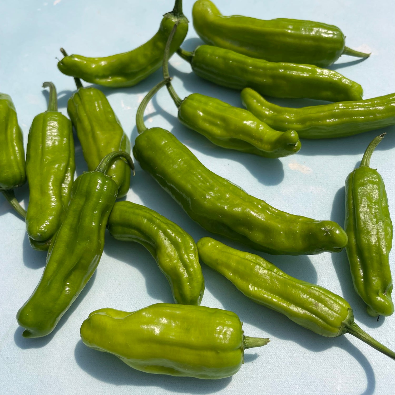 Greek Golden Pepperoncini