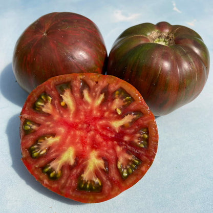 Berkeley Pink Tie Dye Tomato