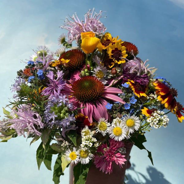 Bee Nectary Mix | Hudson Valley Seed Company