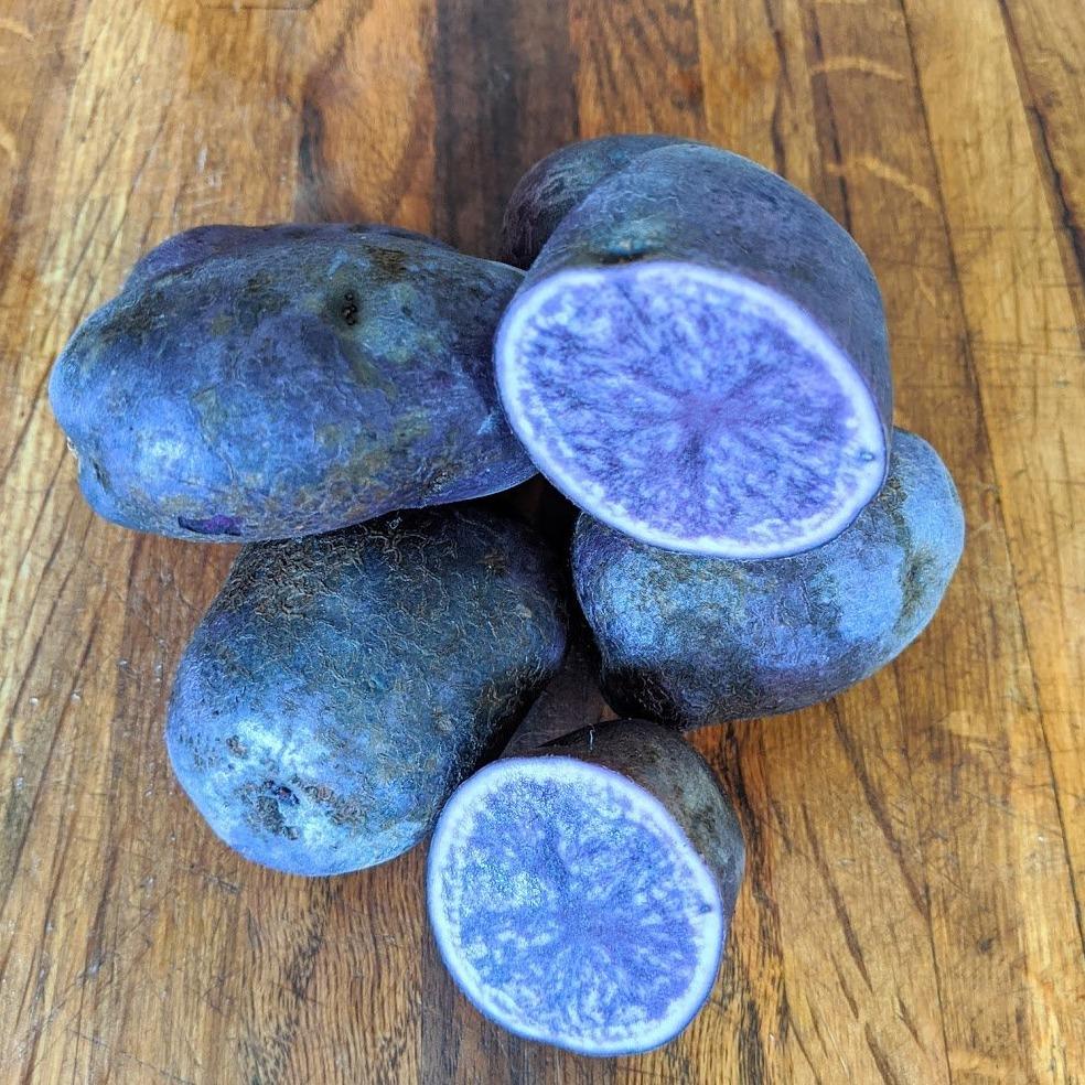 All Blue Potato vendor-unknown