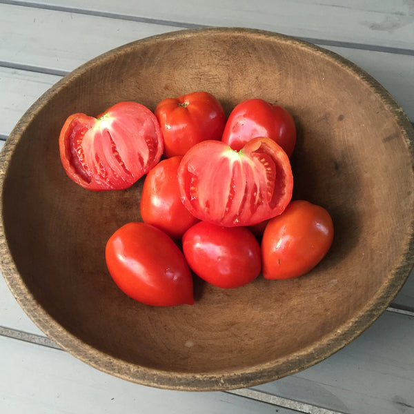 Amish Paste Tomato | Hudson Valley Seed Company