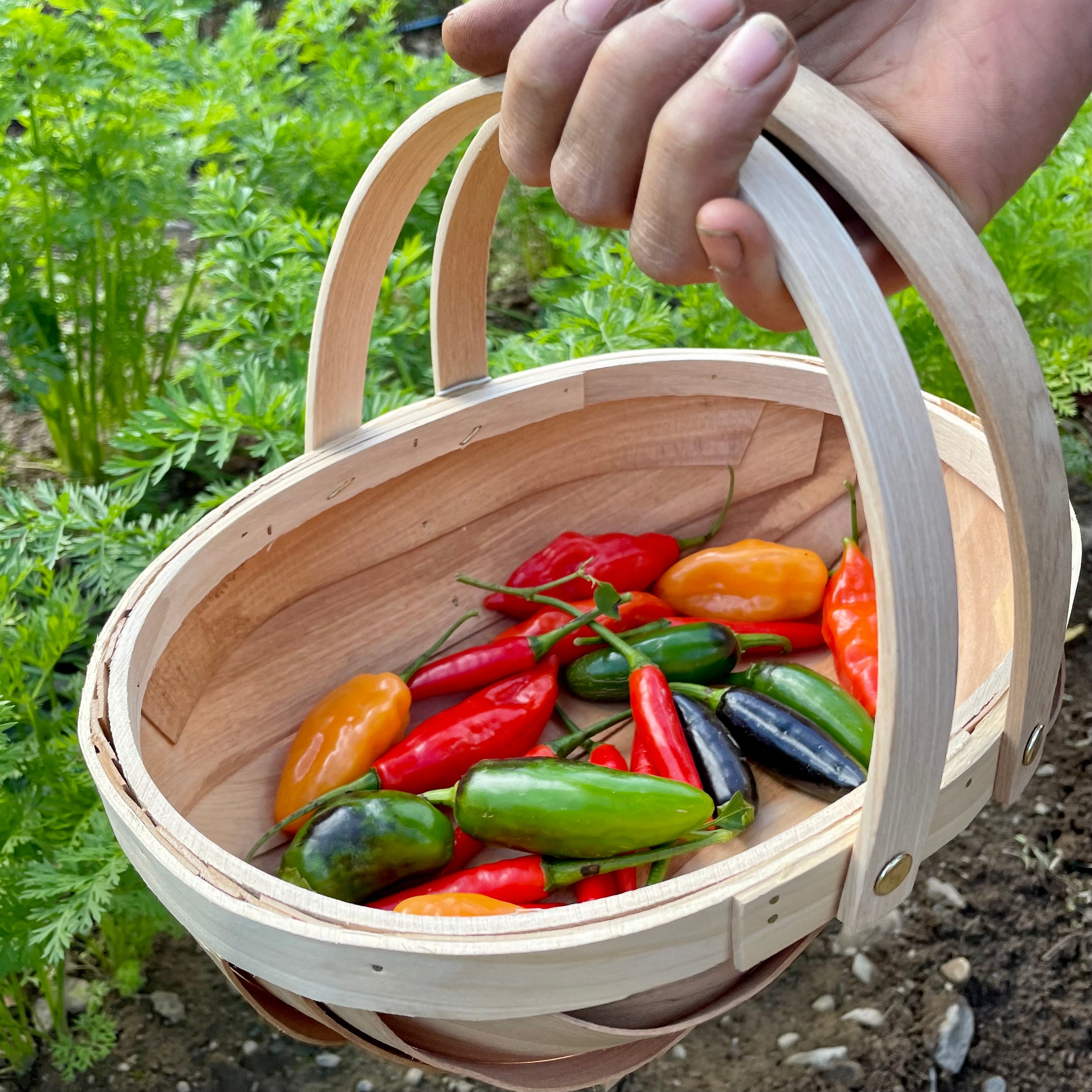 Small Wooden Harvest Trug