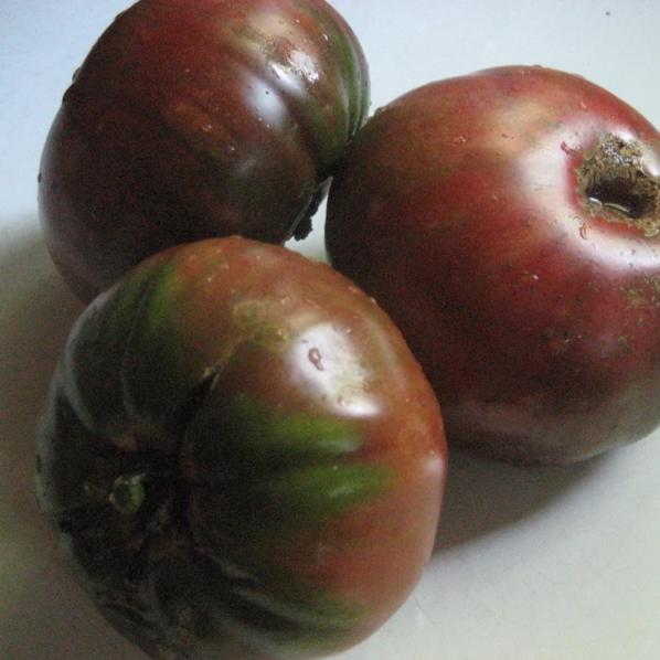 Black Krim Tomato vendor-unknown