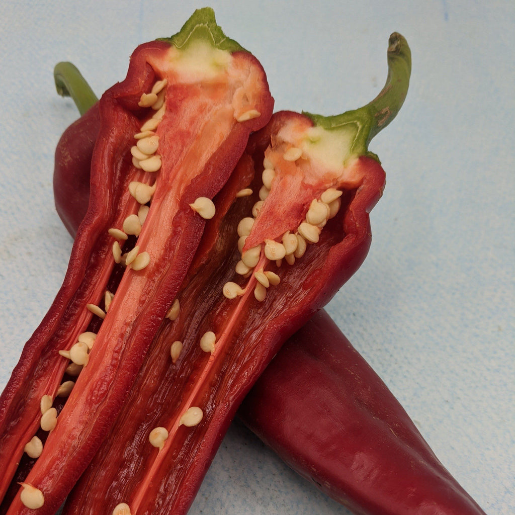 Boldog Hungarian Paprika Spice Pepper Organic Seeds Hudson Valley