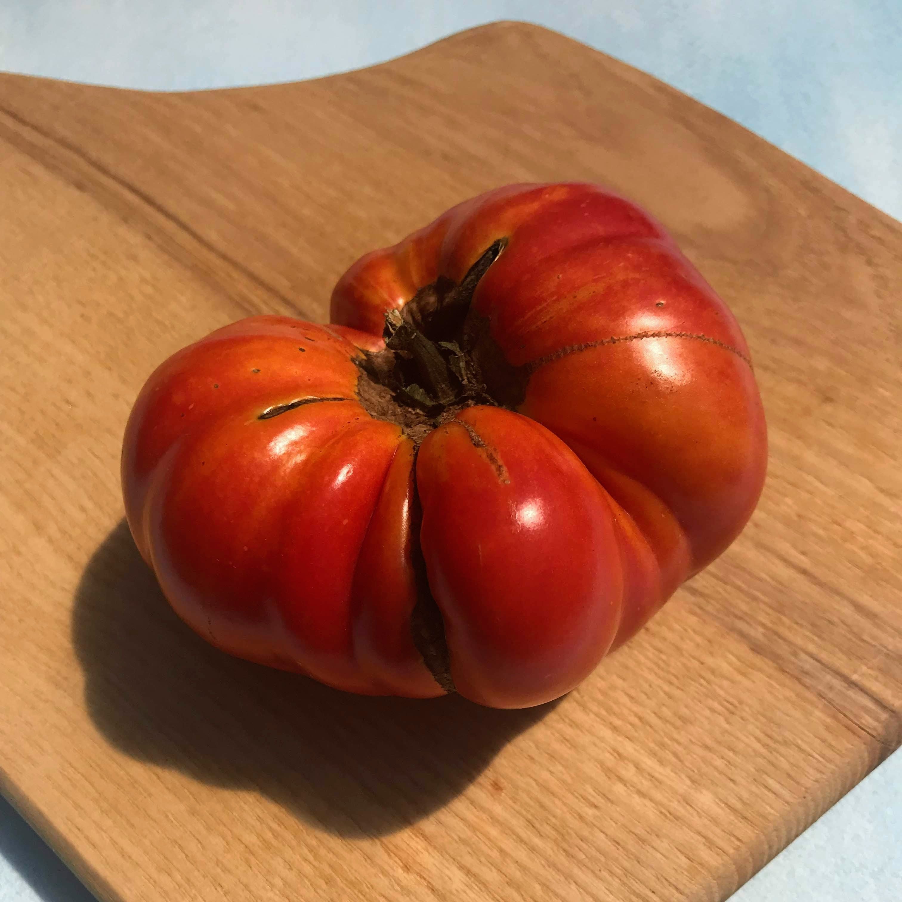 Organic Brandywine PINK, Heirloom Tomato Seeds
