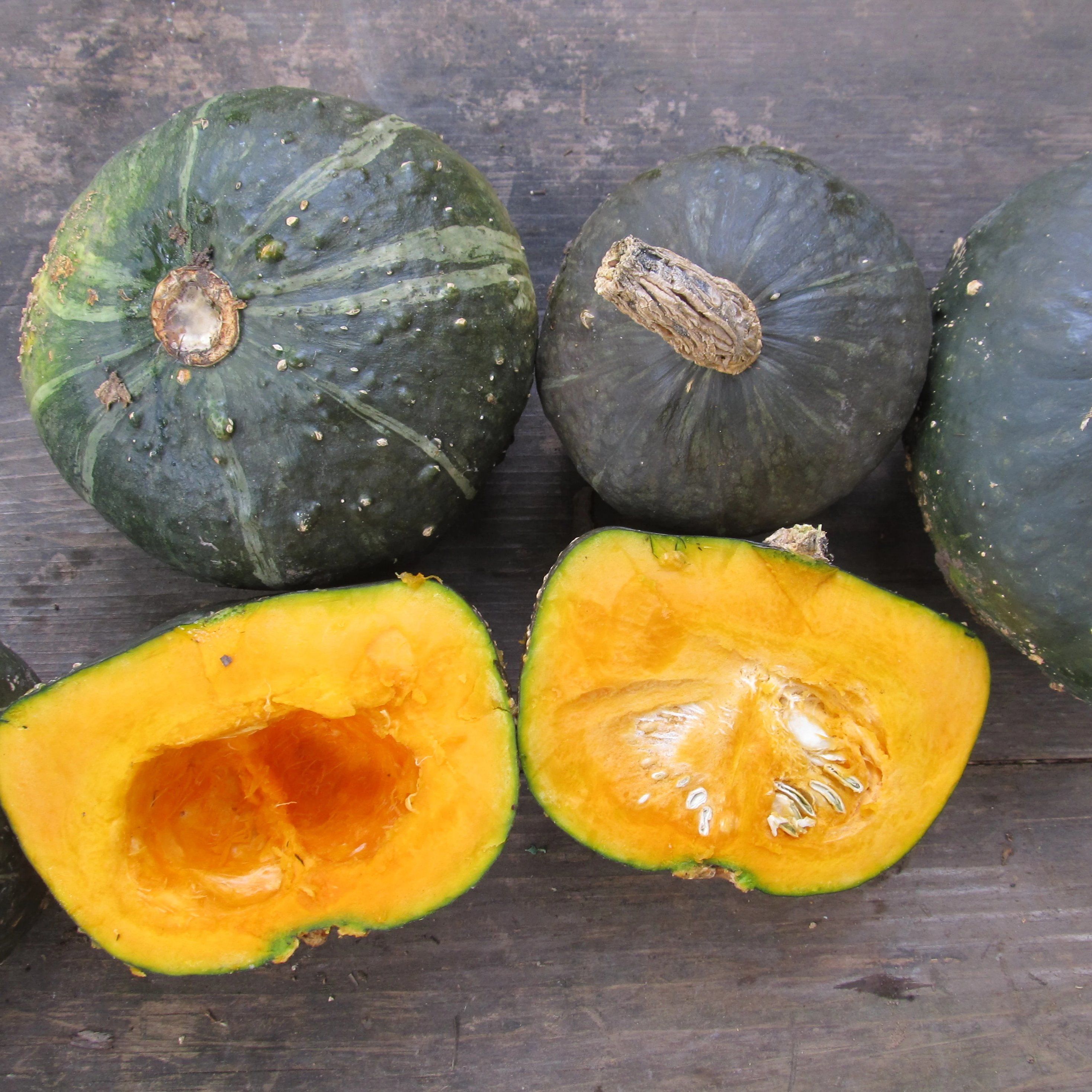 Buttercup Squash buttercup-squash