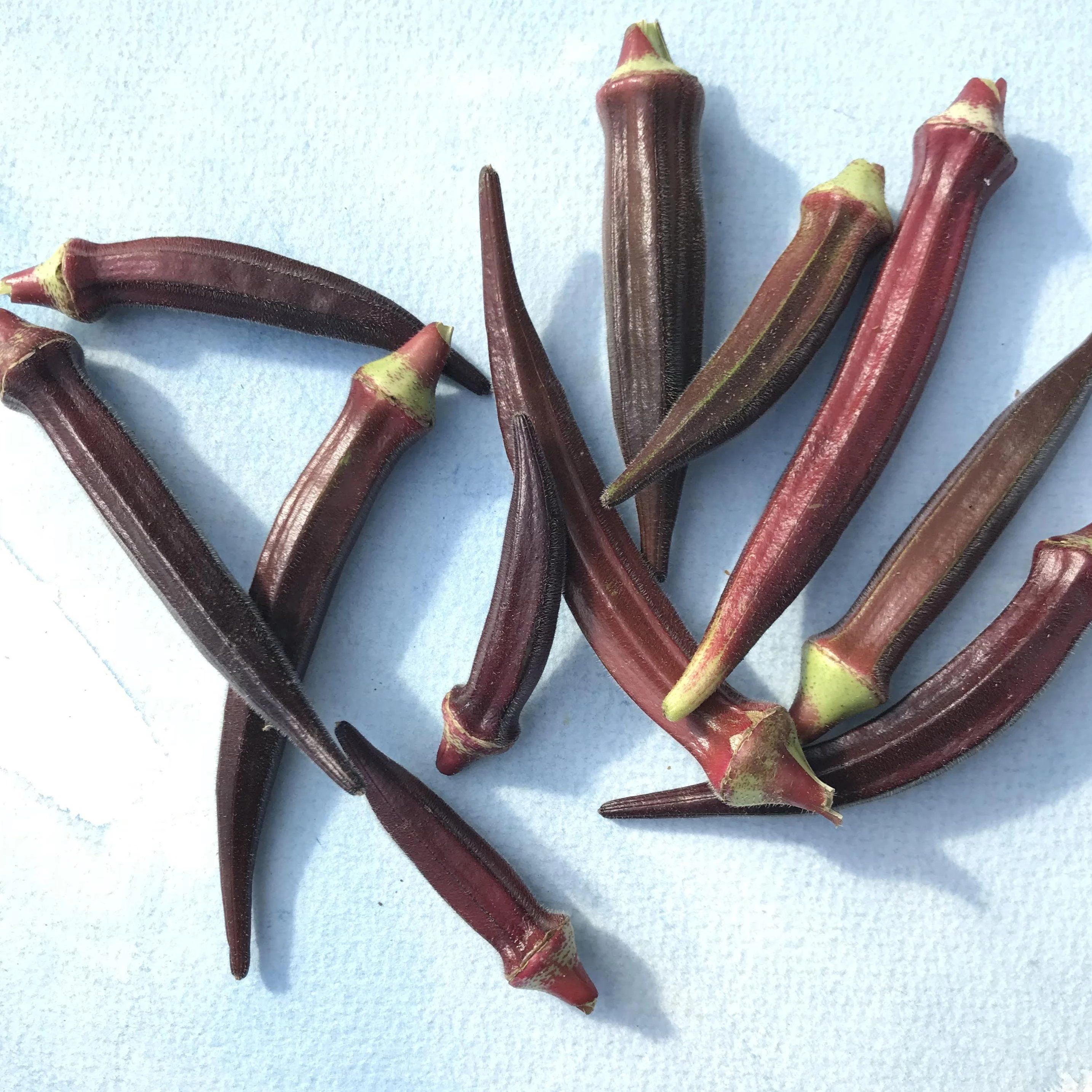 Burgundy Okra vendor-unknown