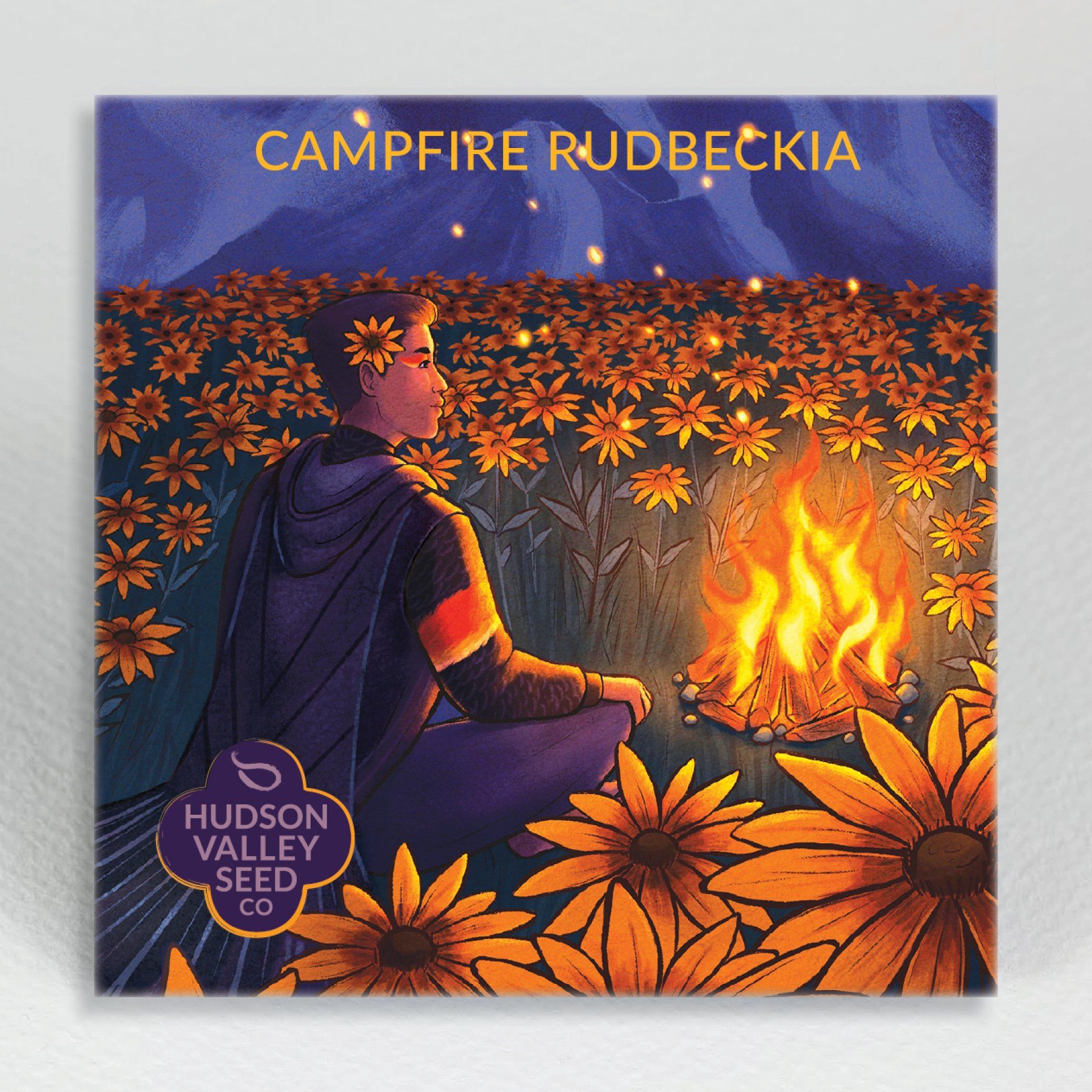 Campfire Rudbeckia vendor-unknown