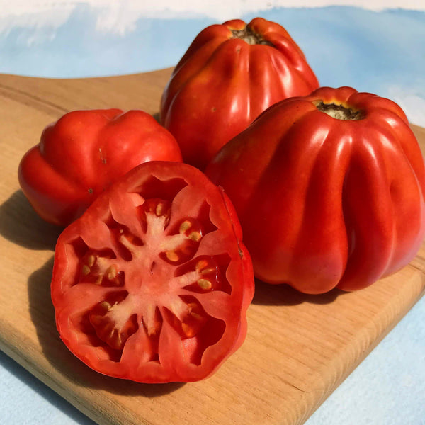 https://hudsonvalleyseed.com/cdn/shop/products/Cesare-s-Canestrino-di-Lucca-Tomato-vendor-unknown-1630679848_grande.jpg?v=1630679859