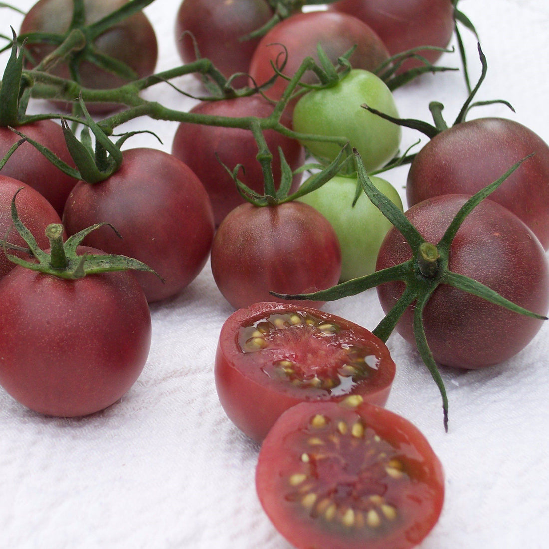 Chocolate Cherry Tomato vendor-unknown