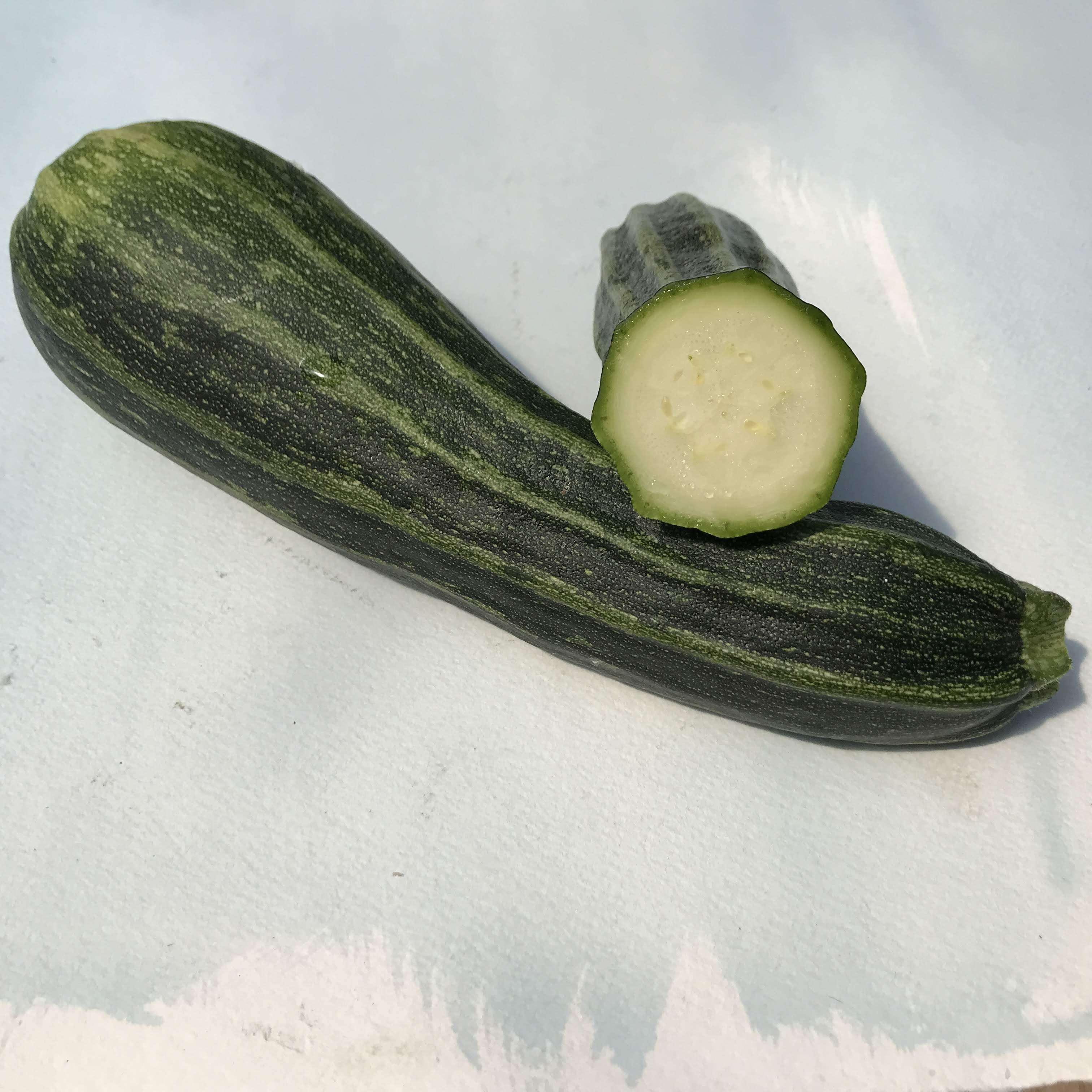 Costata Romanesca Zucchini vendor-unknown