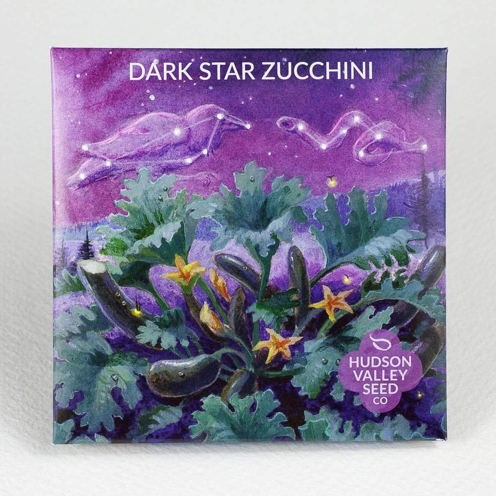 Dark Star Zucchini
