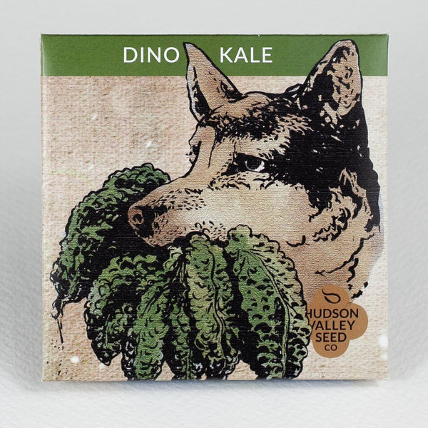 Dino Kale vendor-unknown