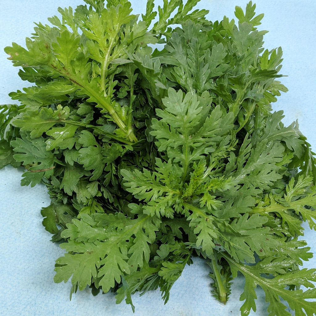 Shungiku Chrysanthemum Organic Seeds Hudson Valley Seed Company