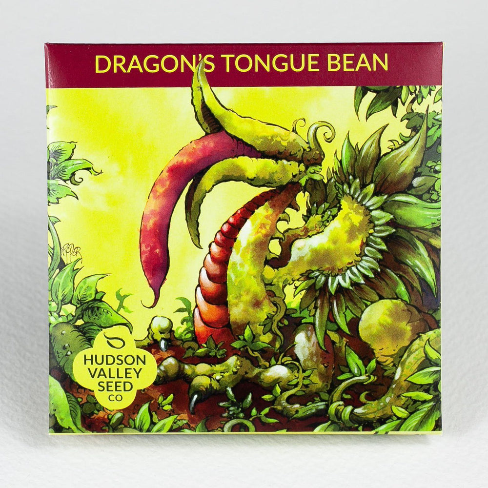 Dragon's Tongue Bean vendor-unknown