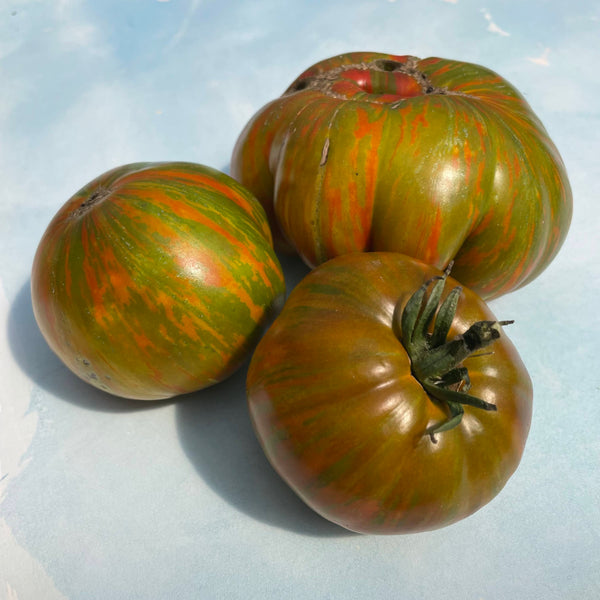 Berkeley Green Tie Dye Tomato