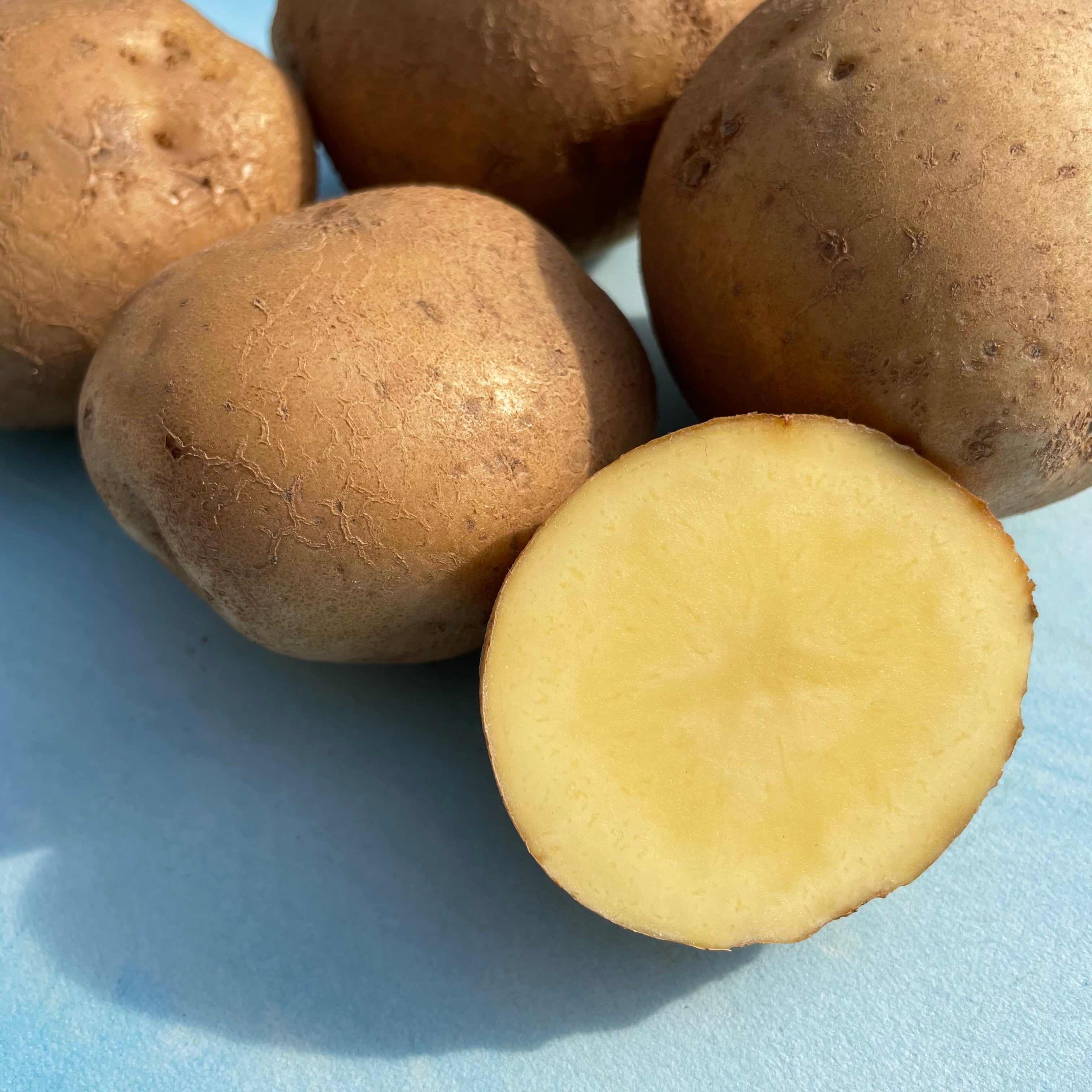 Keuka Gold Potato