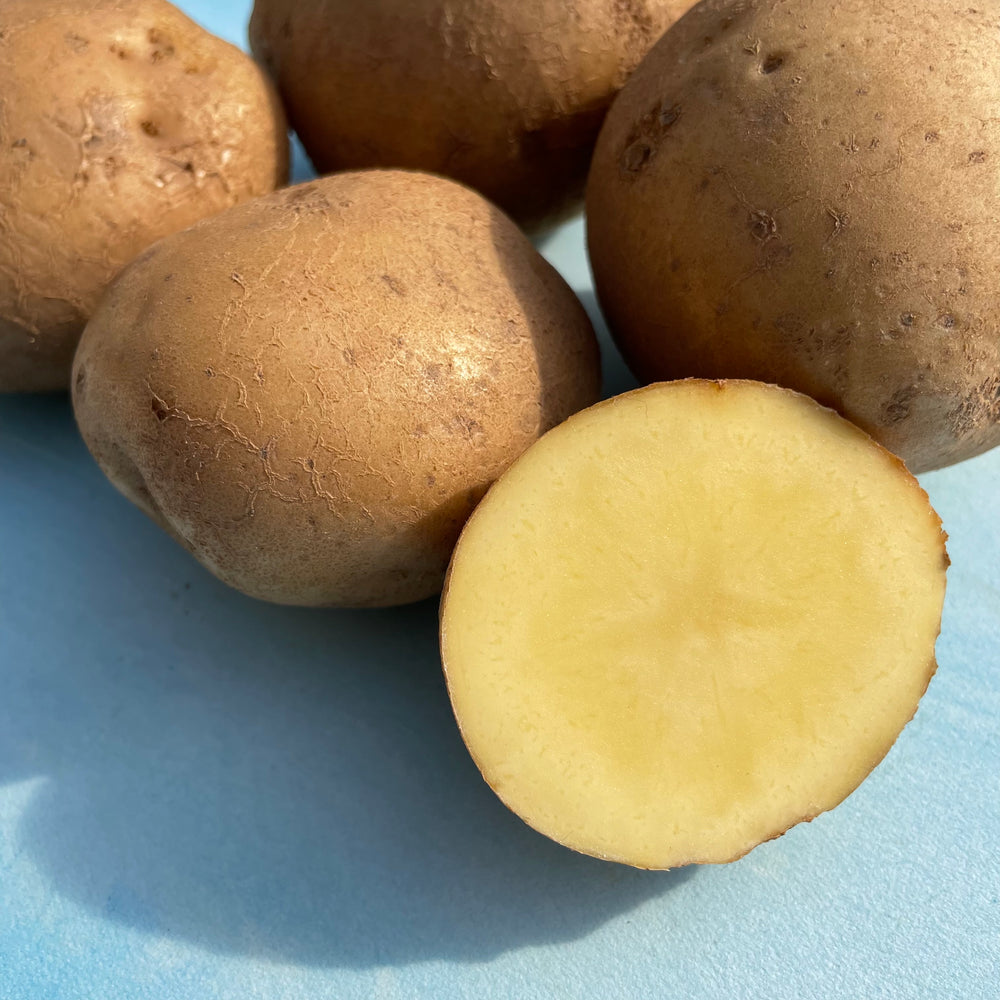 Keuka Gold Potato vendor-unknown