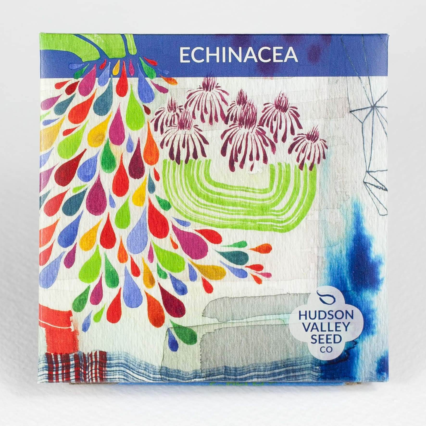 Echinacea Organic Seeds 150 Seeds / Organic