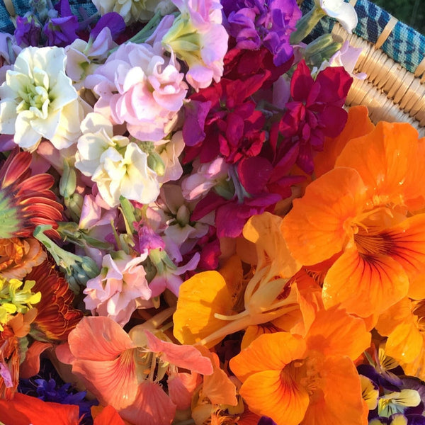 edible flower seed Edible Flower Mix