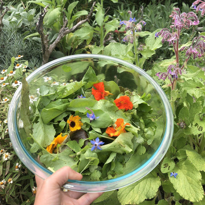 edible flower seed Edible Flower Mix