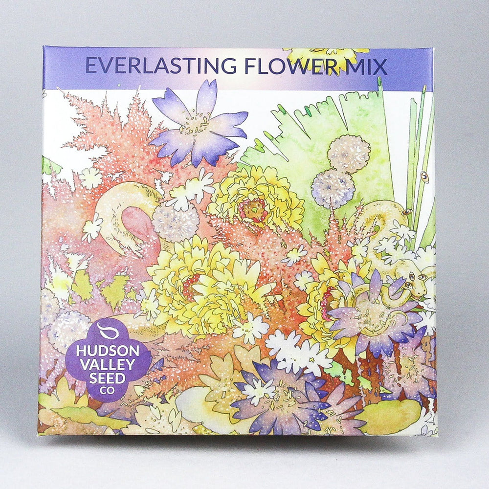 Everlasting Flower Mix vendor-unknown