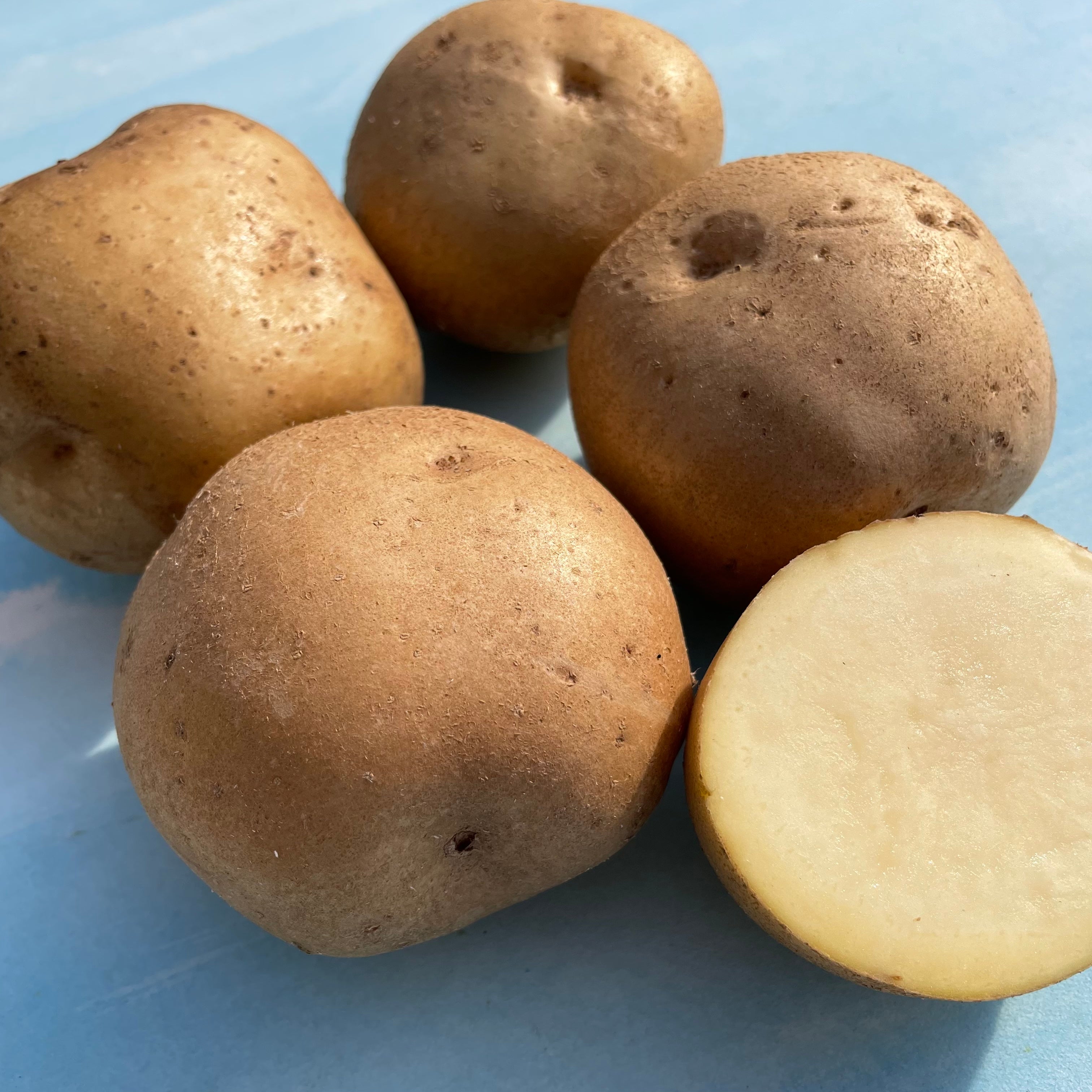 Elba Potato