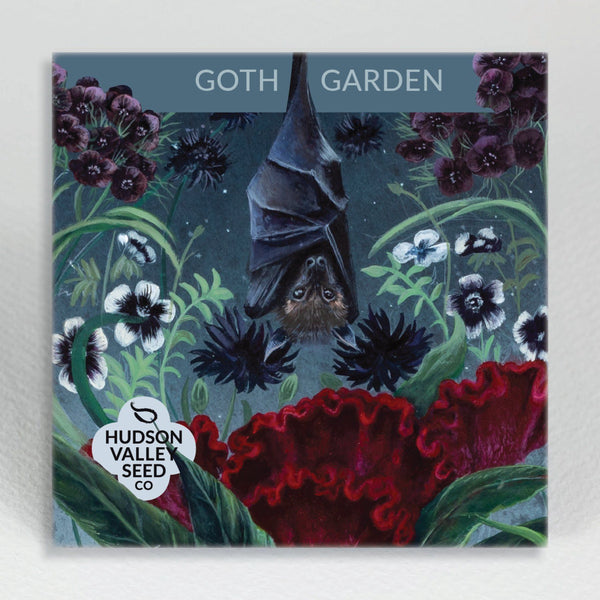 black flower seed mix Goth Garden Flower Mix