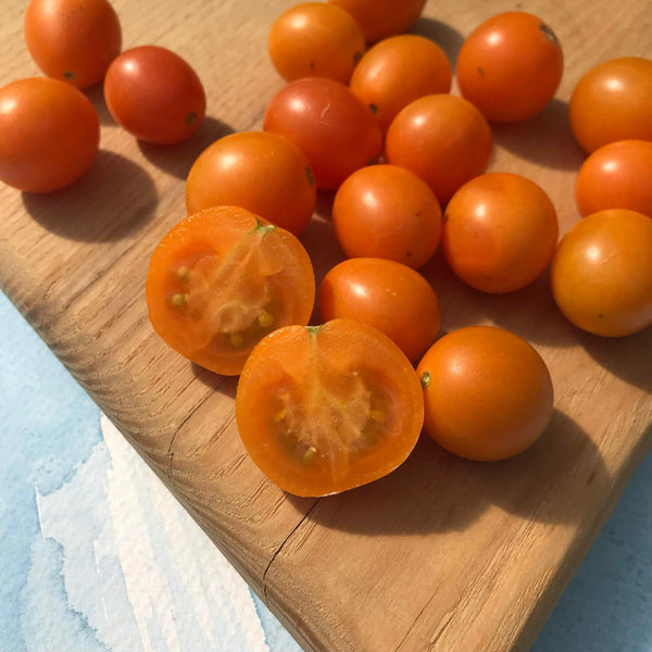 Honey-Drop-Cherry-Tomato-