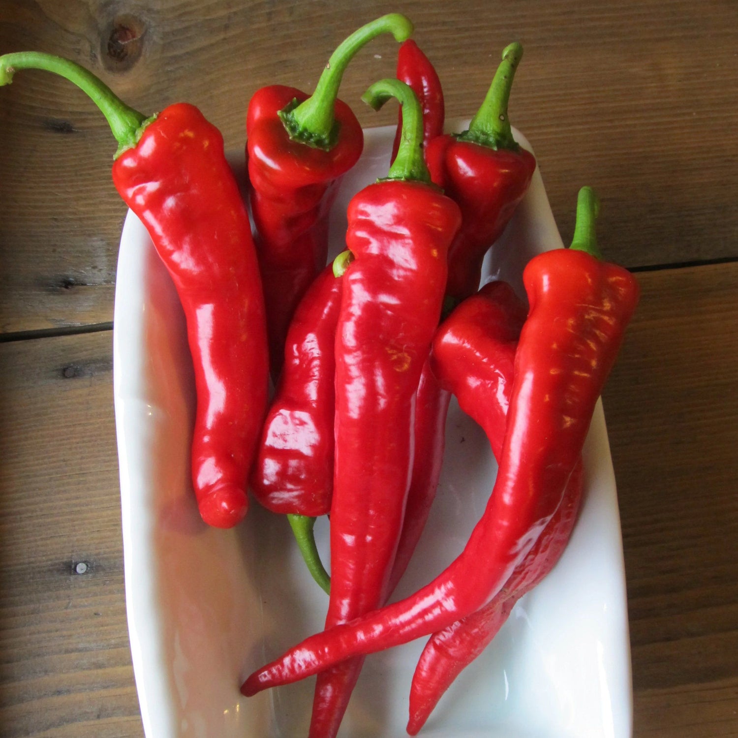 Hot Portugal Pepper vendor-unknown