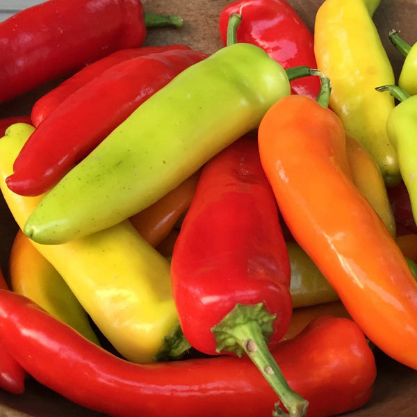 Hungarian Hot Wax Organic Seeds 25 Seeds / Organic