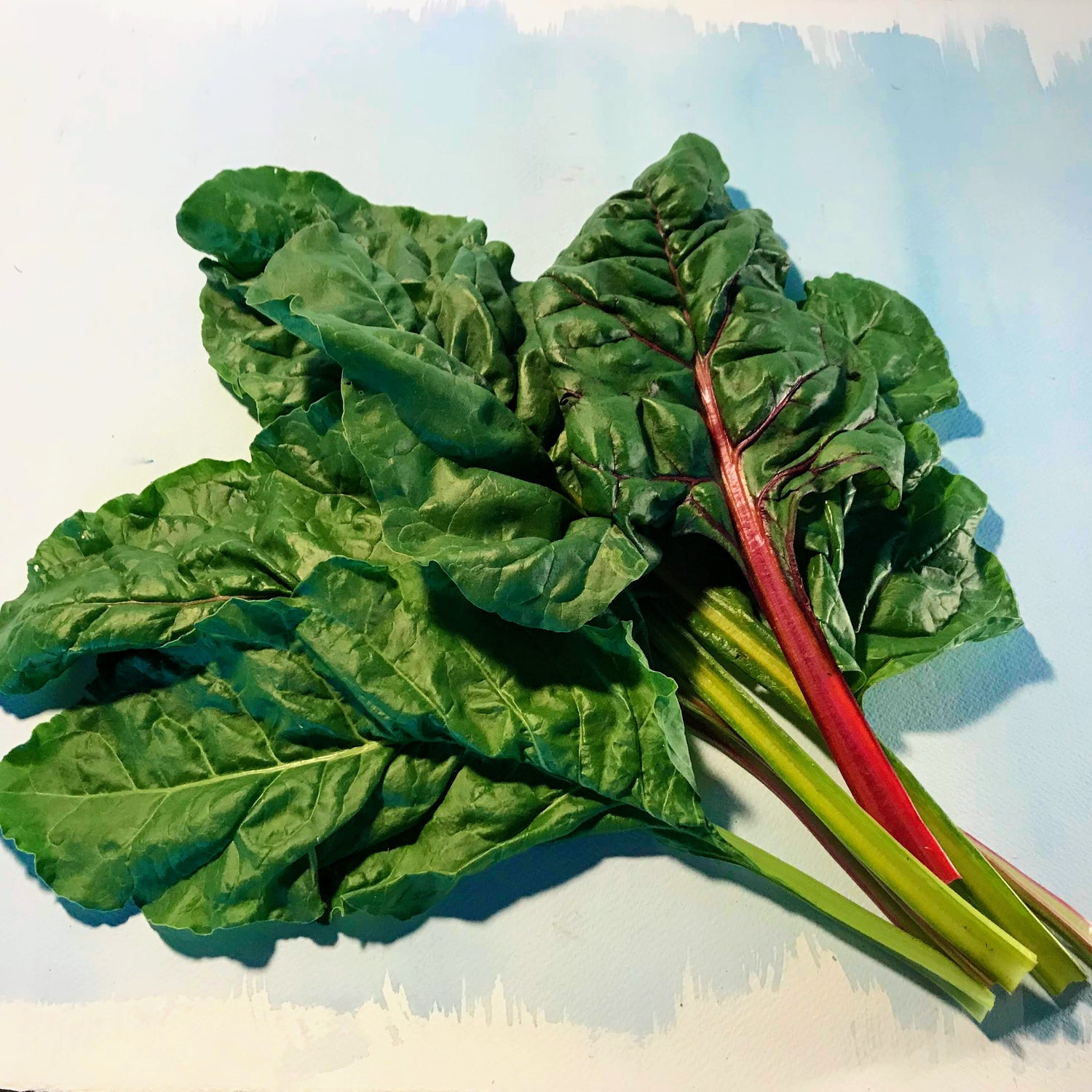 Rainbow Chard