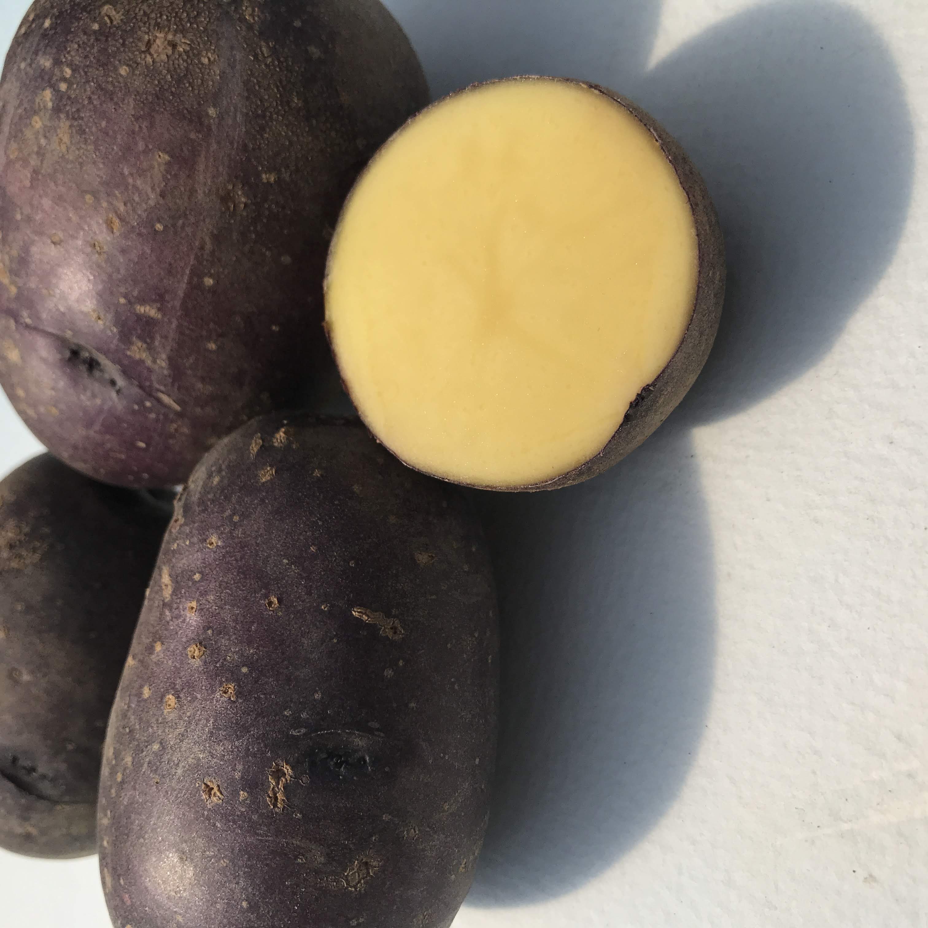 Huckleberry Gold Potato