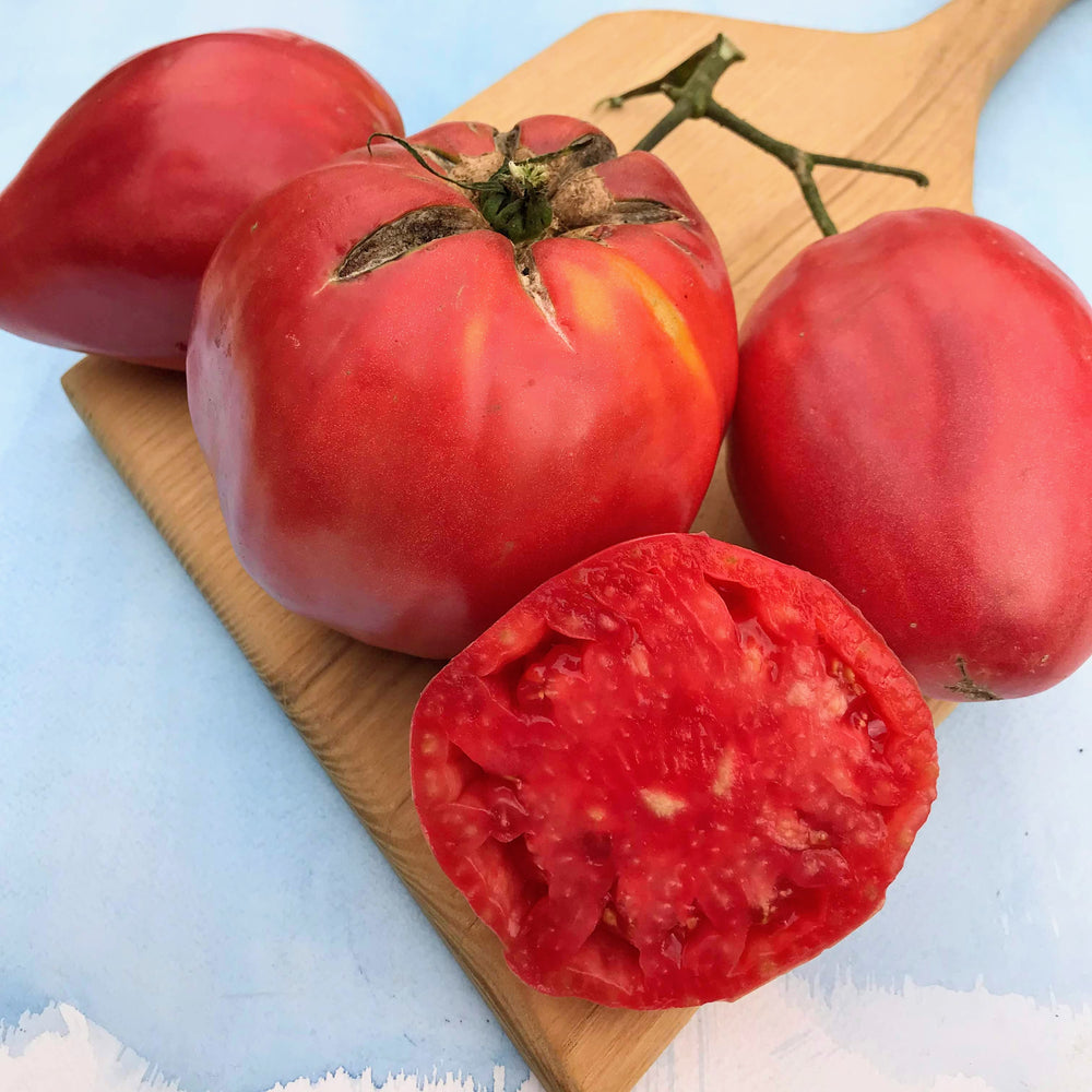 Upstate Oxheart Tomato vendor-unknown