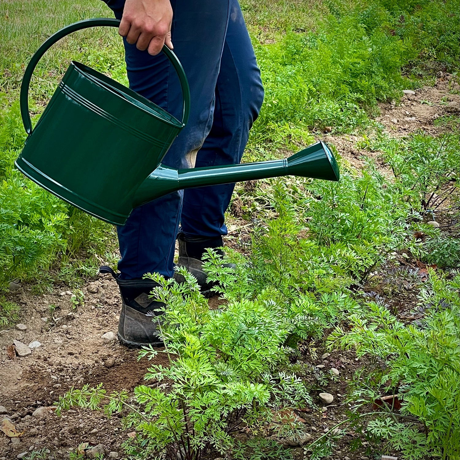 Steel Waterfall Watering Can - Green