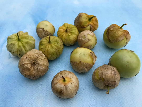 Puebla Verde Tomatillo