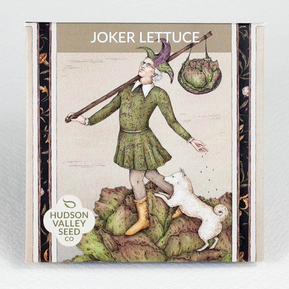 Joker Lettuce vendor-unknown